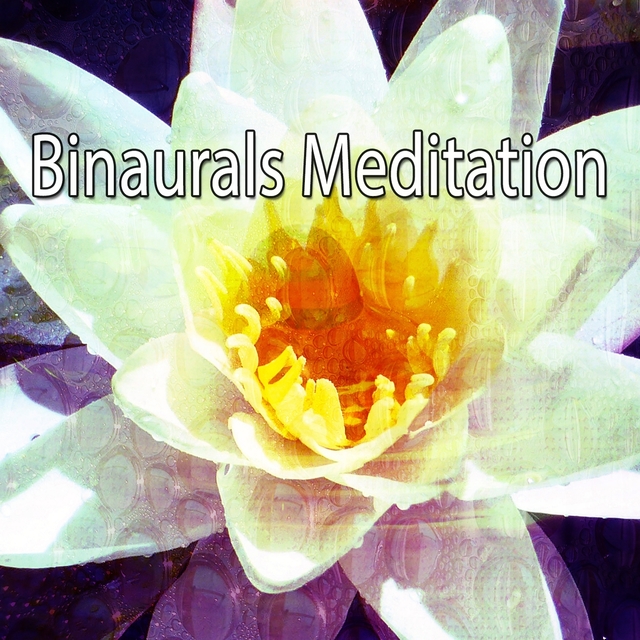 Couverture de Binaurals Meditation