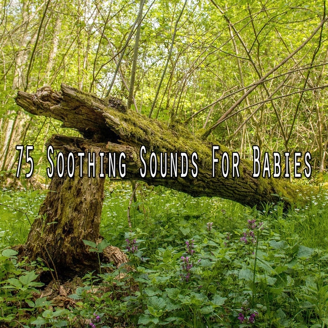 75 Soothing Sounds for Babies