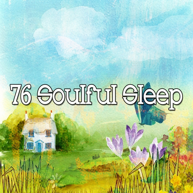 Couverture de 76 Soulful Sleep