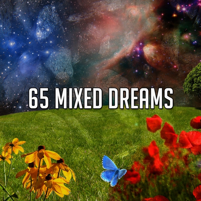 65 Mixed Dreams