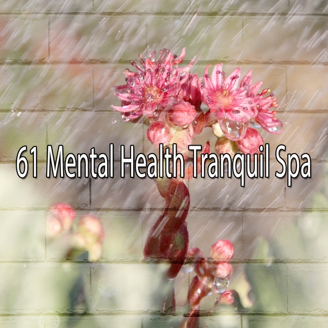61 Mental Health Tranquil Spa