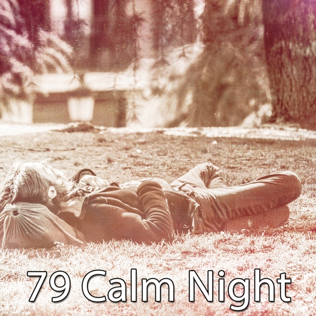 79 Calm Night