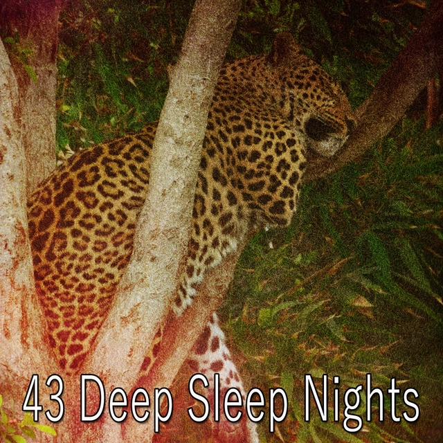 43 Deep Sleep Nights