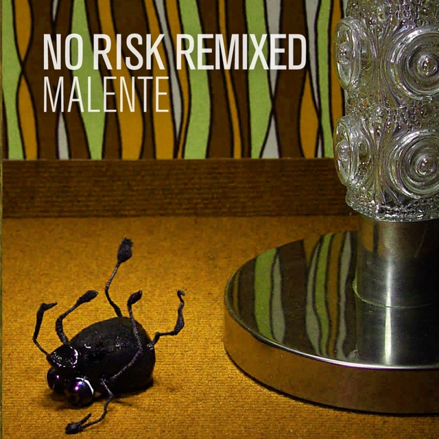 Couverture de No Risk Remixed