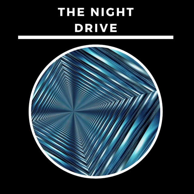 Couverture de The Night Drive