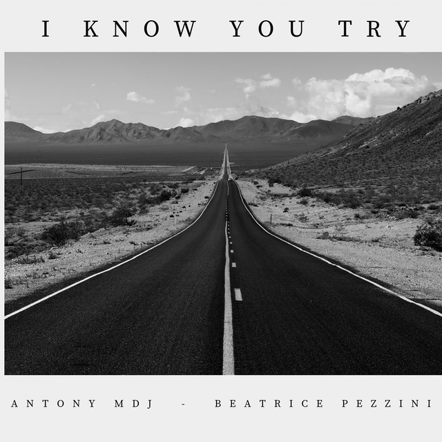 Couverture de I Know You Try