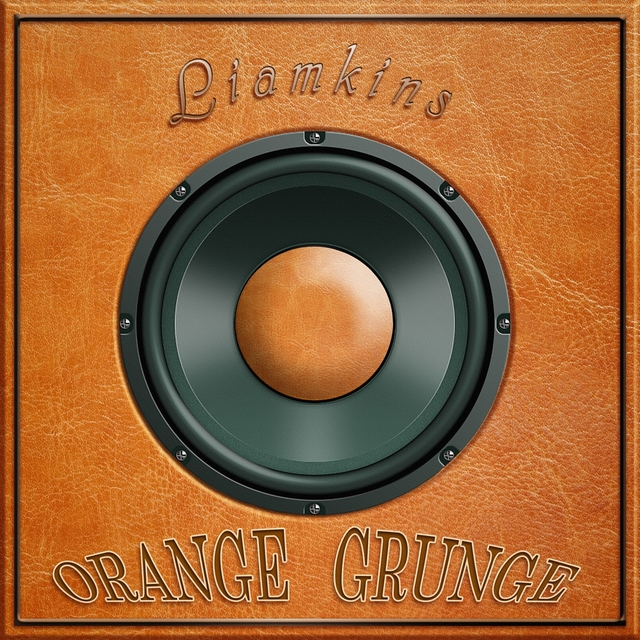 Couverture de Orange Grunge