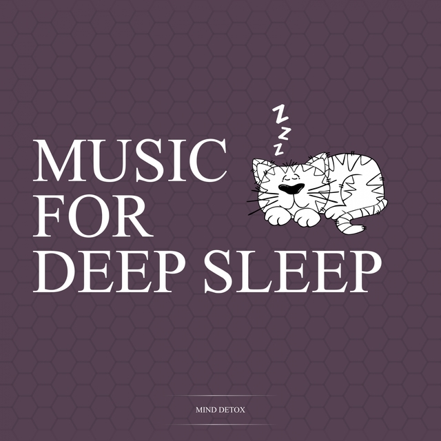 Couverture de Music for Deep Sleep