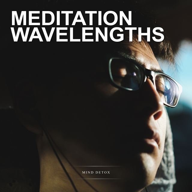 Couverture de Meditation Wavelengths