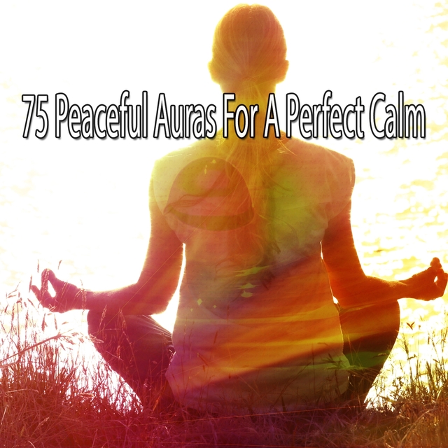 75 Peaceful Auras for a Perfect Calm