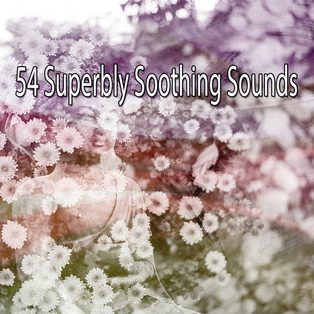 Couverture de 54 Superbly Soothing Sounds