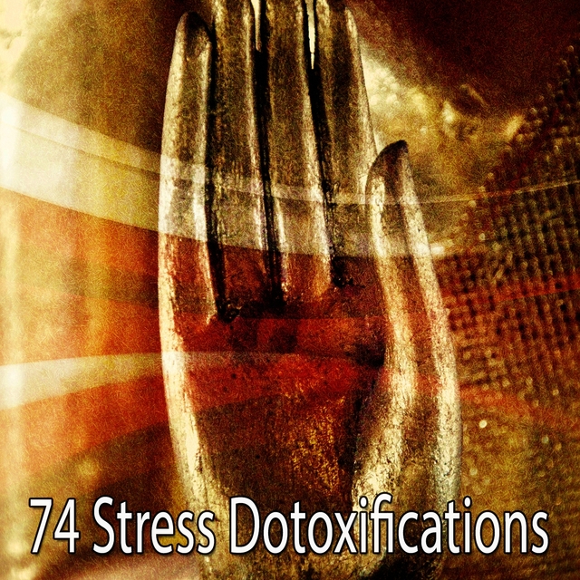 Couverture de 74 Stress Dotoxifications