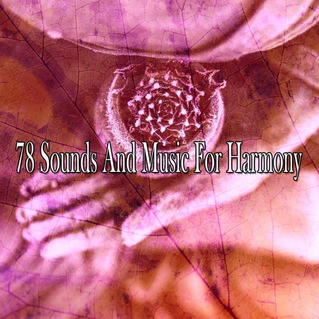 78 Sounds and Music for Harmony