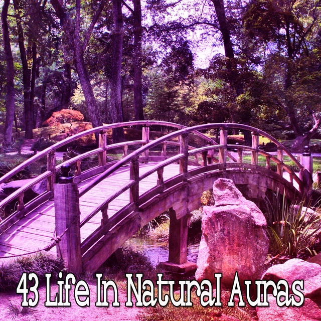 Couverture de 43 Life in Natural Auras