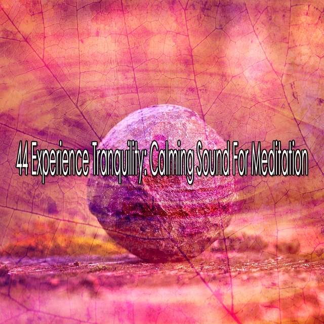 Couverture de 44 Experience Tranquility Calming Sound for Meditation