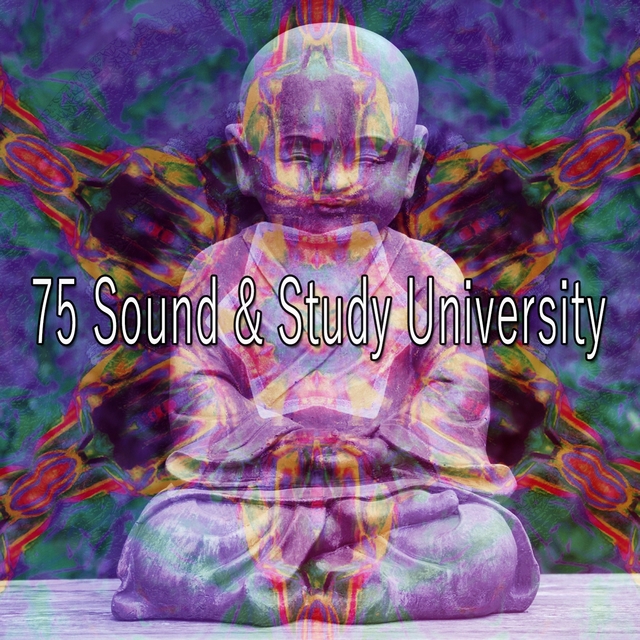 Couverture de 75 Sound & Study University