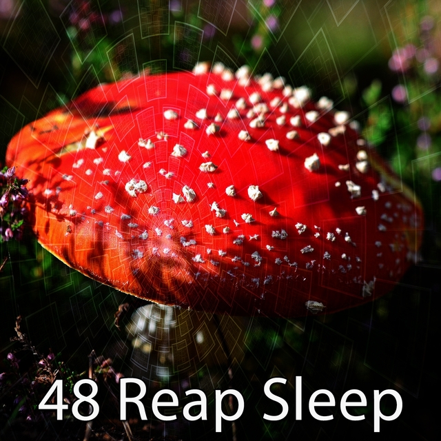 Couverture de 48 Reap Sleep