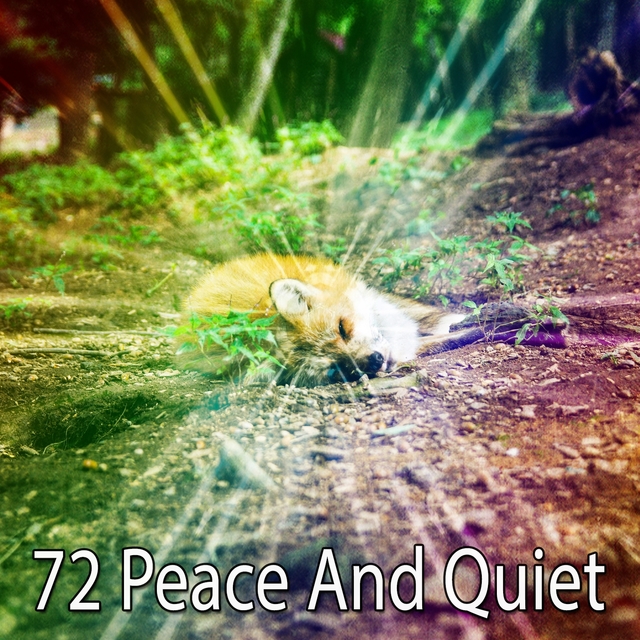 72 Peace and Quiet