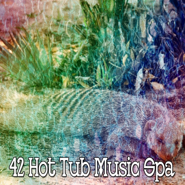 42 Hot Tub Music Spa