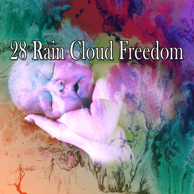 Couverture de 28 Rain Cloud Freedom