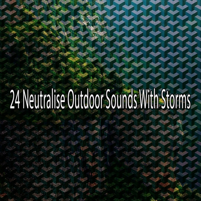 Couverture de 24 Neutralise Outdoor Sounds with Storms