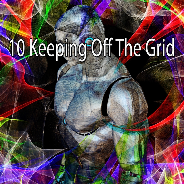 10 Keeping Off the Grid