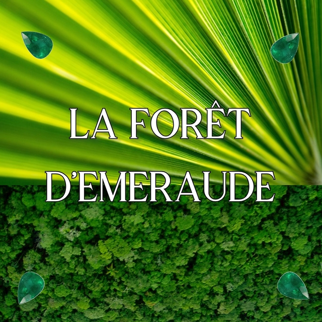 Couverture de La forêt d'emeraude