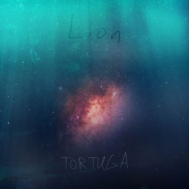 Couverture de Tortuga