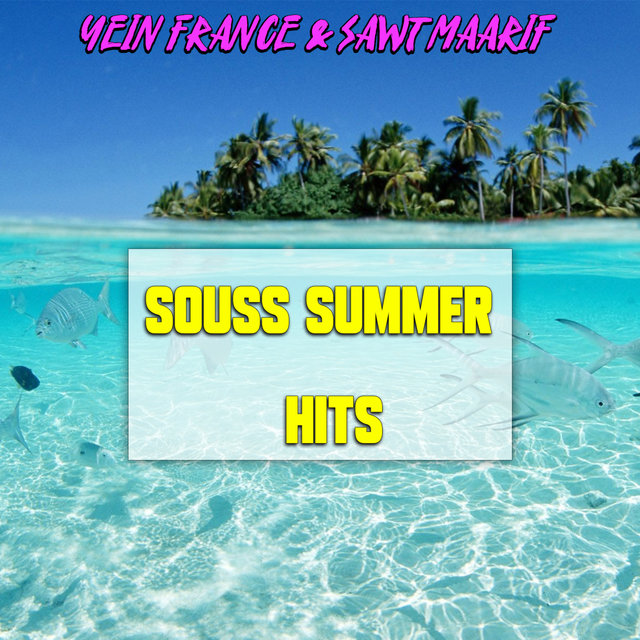 Couverture de Souss summer hits