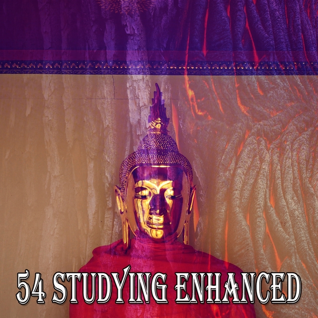 54 Studying Enhanced