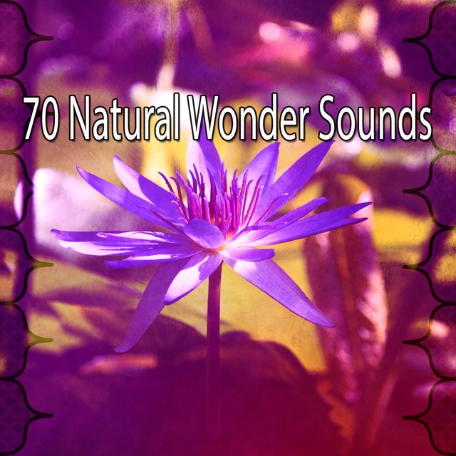 70 Natural Wonder Sounds