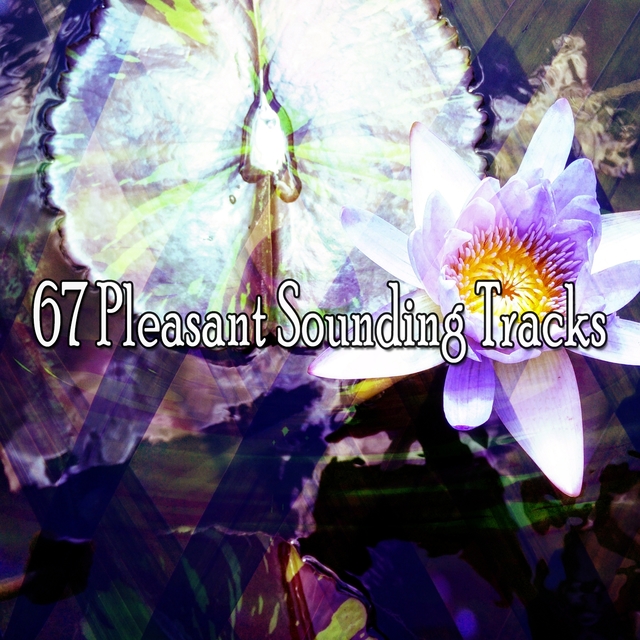 Couverture de 67 Pleasant Sounding Tracks