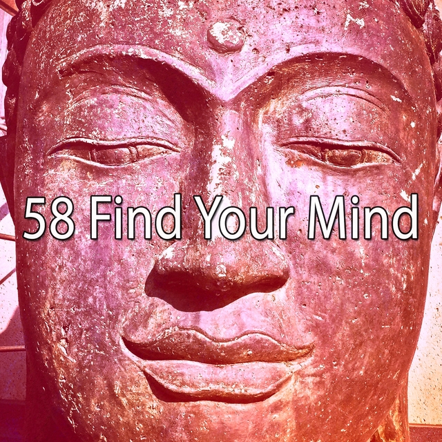 Couverture de 58 Find Your Mind