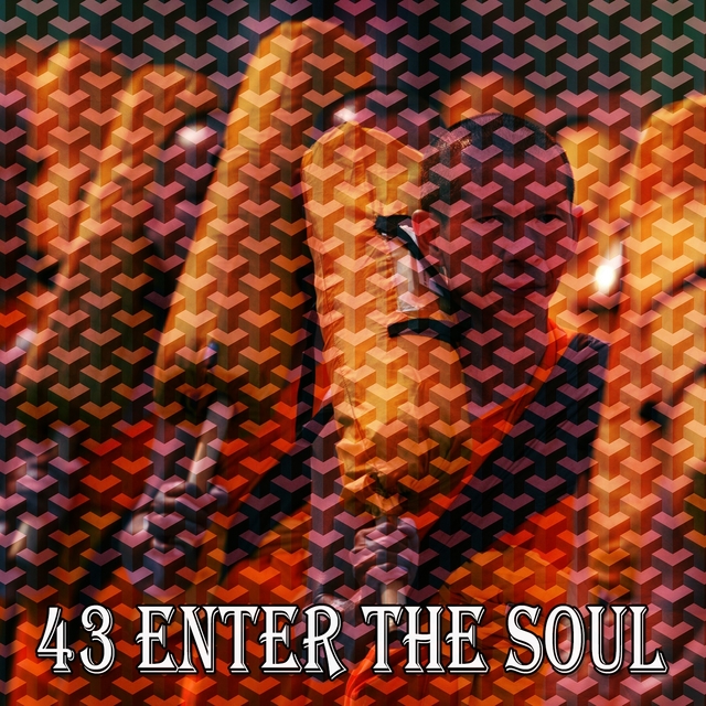 Couverture de 43 Enter the Soul
