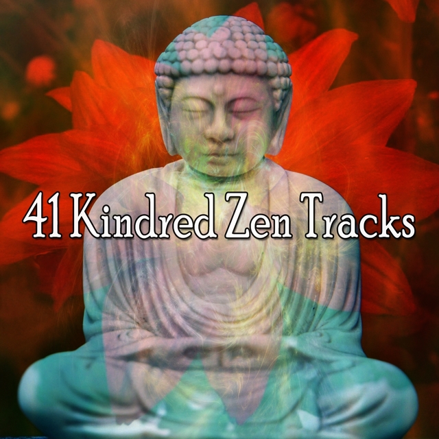 Couverture de 41 Kindred Zen Tracks