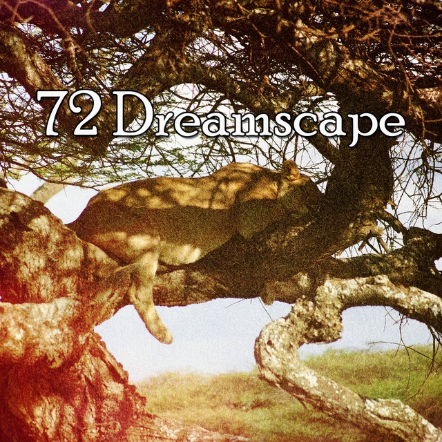 72 Dreamscape