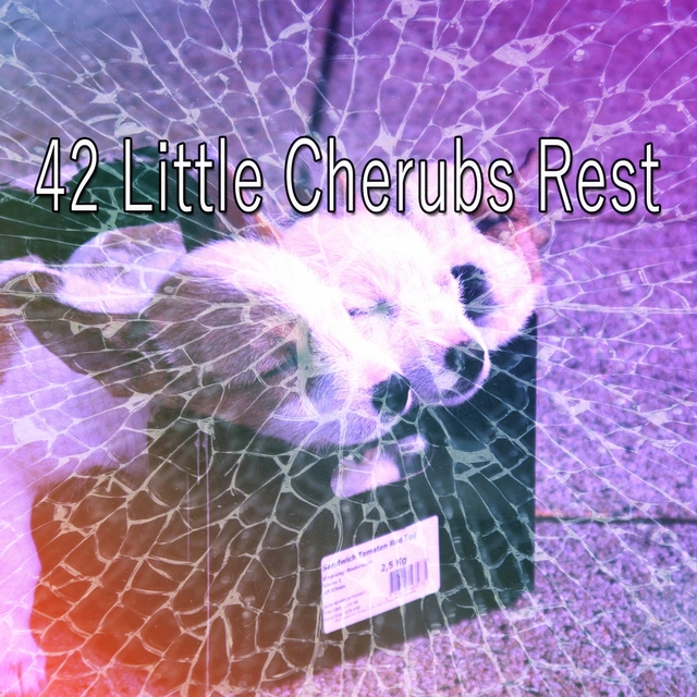 42 Little Cherubs Rest