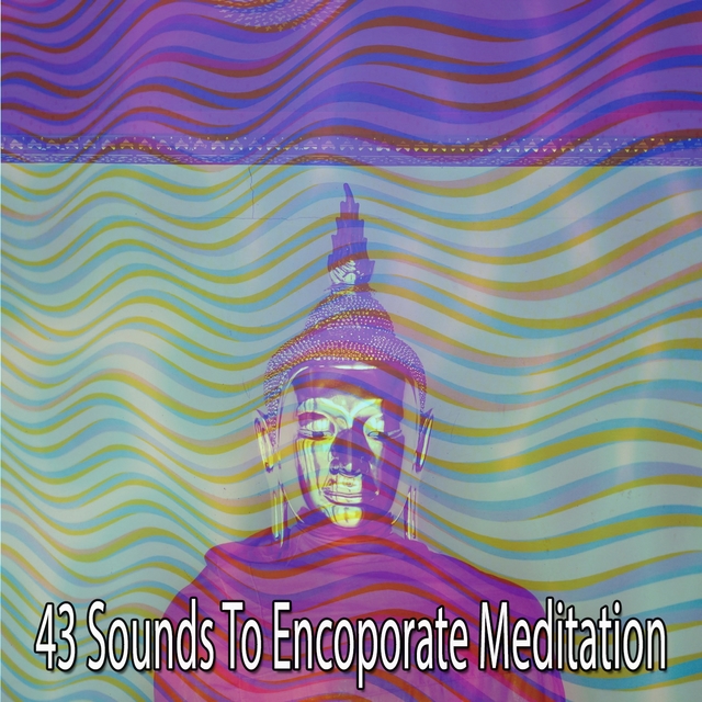 43 Sounds to Encoporate Meditation