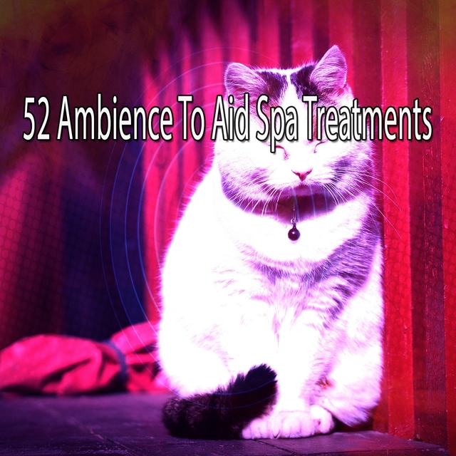 52 Ambience to Aid Spa Treatments