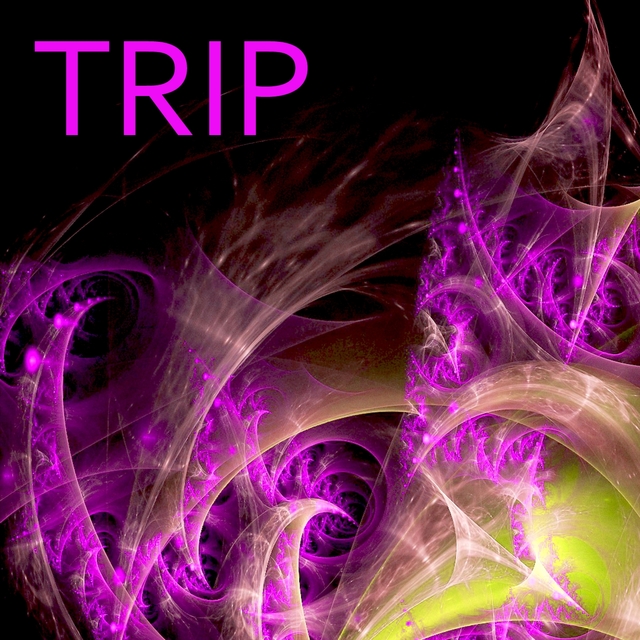 Trip