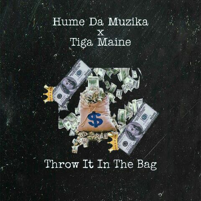 Couverture de Throw It in the Bag