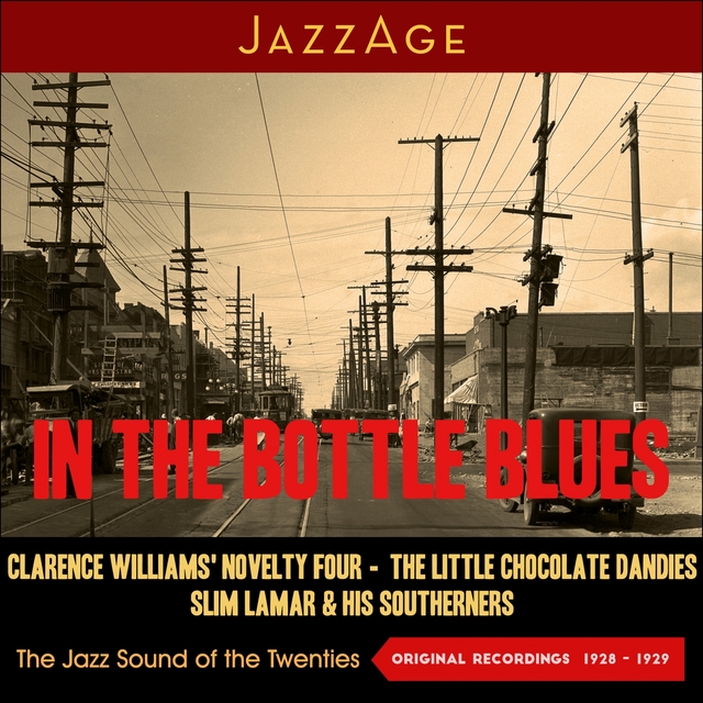 Couverture de In the Bottle Blues