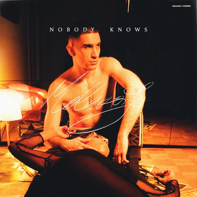 Couverture de Nobody Knows