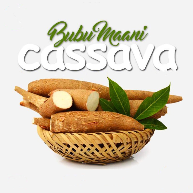 Couverture de Cassava