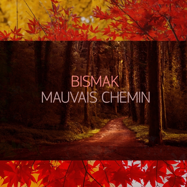 Mauvais chemin