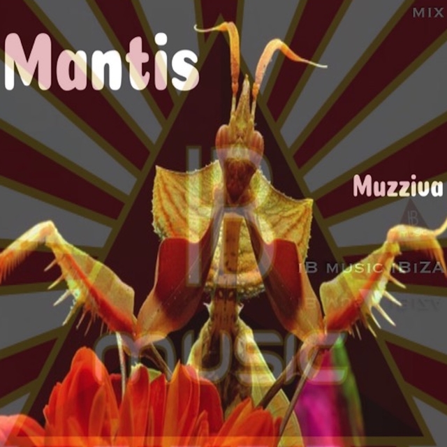 Mantis