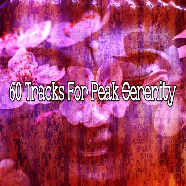 Couverture de 60 Tracks for Peak Serenity