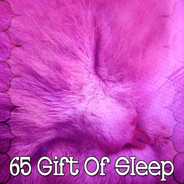 Couverture de 65 Gift of Sleep