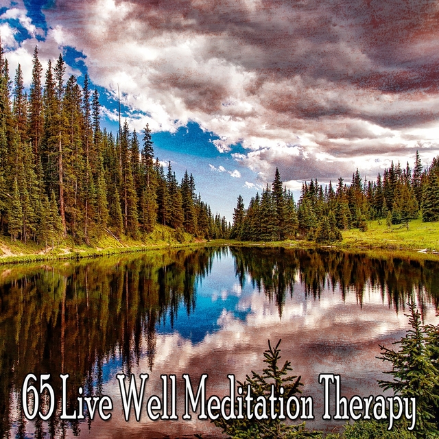 Couverture de 65 Live Well Meditation Therapy