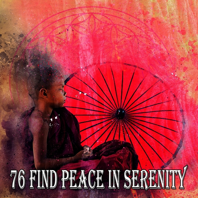 Couverture de 76 Find Peace in Serenity